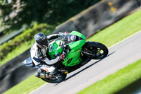 PJ-Motorsport-Photography-2020;anglesey;brands-hatch;cadwell-park;croft;donington-park;enduro-digital-images;event-digital-images;eventdigitalimages;mallory;no-limits;oulton-park;peter-wileman-photography;racing-digital-images;silverstone;snetterton;trackday-digital-images;trackday-photos;vmcc-banbury-run;welsh-2-day-enduro